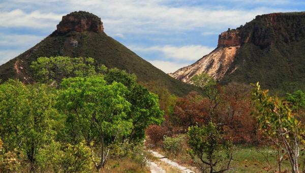 Para celebrar o Dia do Cerrado, Naturatins e parceiros realizam ações no Jalapão