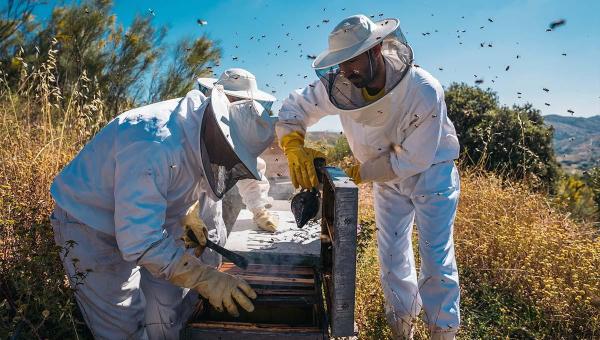Parque Estadual do Cantão promove capacitação em apicultura e meliponicultura