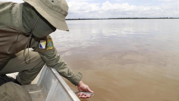Período da Piracema tem início a partir desta sexta-feira, 1º alerta o Governo do Tocantins 

 