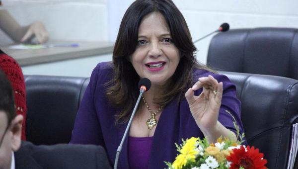 PL de Valderez, que cria o Dia da Mulher Empreendedora Tocantinense é aprovado na Assembleia Legislativa