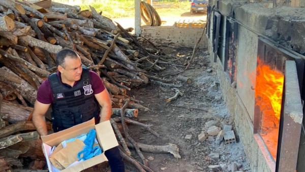 Polícia Civil incinera drogas apreendidas em Colmeia