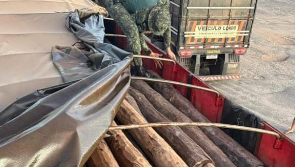 Polícia Militar apreende carga de madeira transportada ilegalmente em Araguatins