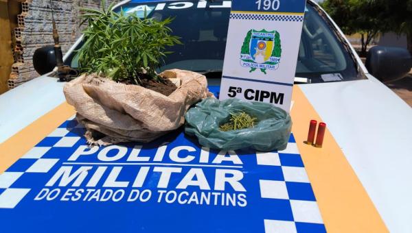 Polícia Militar prende homem por violência doméstica e apreende drogas em Tocantinópolis