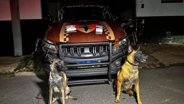 Polícia Militar prende mulher por tráfico de drogas em Araguaína