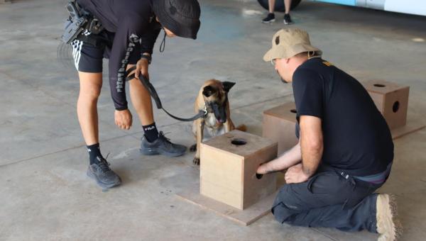 Policiais penais da Seciju participam de Curso de Capacitação e Aperfeiçoamento na Condução de Cães Farejadores