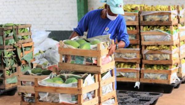 Prefeitura de Araguaína abre chamada para compra da produção de agricultores familiares