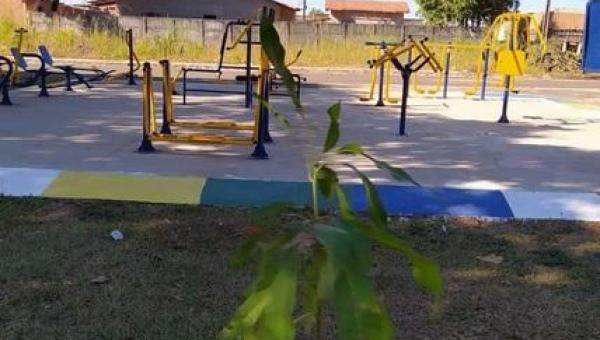 Prefeitura de Colinas do Tocantins realiza plantio de árvores na Praça do Pequi no Setor Santa Rosa