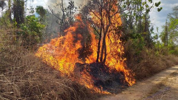 Prefeitura de Xambioá alerta para o perigo de queimadas nesse período seco