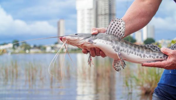 Prefeitura promove dia de pesca no Lago Azul em Araguaína 