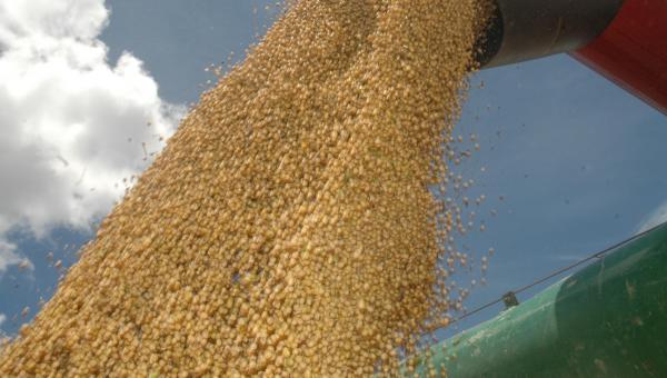 Produção de grãos deve superar a marca da colheita anterior nesta safra no Tocantins
