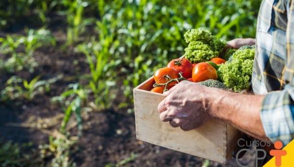 Produtores rurais e agricultores familiares de Nova Olinda são convidados para reunião com CONAB e Ministério do Desenvolvimento Agrário e Agricultura Familiar no Tocantins