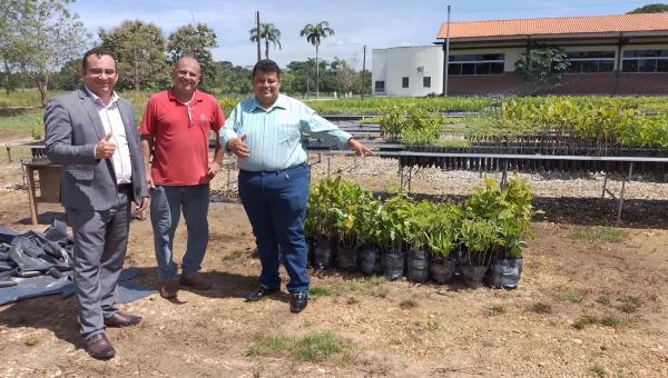 Secretaria de Meio Ambiente de Ananás visita viveiro de mudas em Araguatins