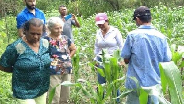 Secretaria de Produção, Desenvolvimento e Meio Ambiente de Colinas do Tocantins discute ações voltadas para projetos sociais