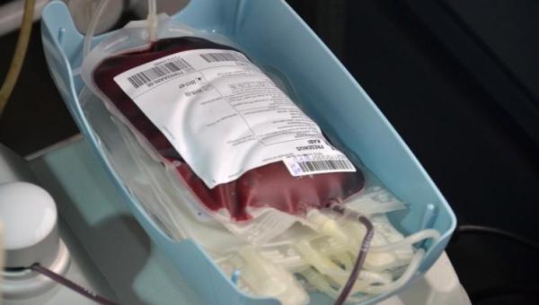 Secretaria de Saúde convida população tocantinense para doar sangue 