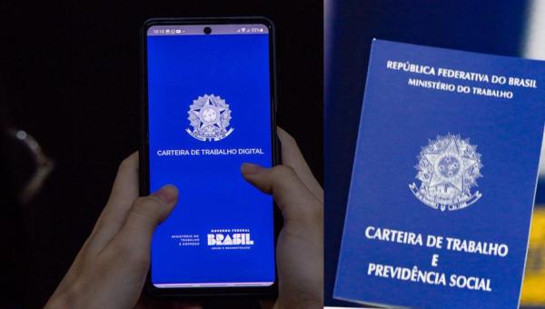 Sine Tocantins realiza processo seletivo para mais de 230 vagas de emprego, nesta quinta-feira, 31