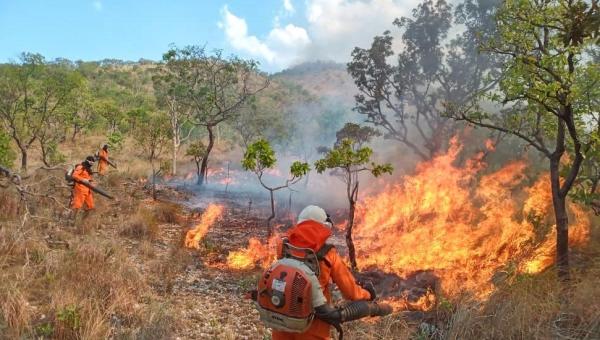 Tocantins reduz 40% da área queimada, 25% dos focos de calor e cai para a sétima posição no ranking nacional de queimadas em 2023