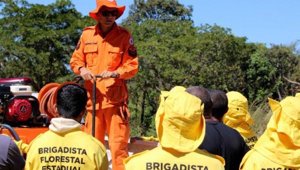 Tocantins reduz focos de queimadas em 24,9% e áreas afetadas em 14,8% nos primeiros meses de 2025