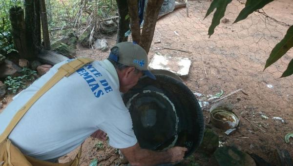 Tocantins tem aumento de casos de Dengue, Zika, Chikungunya e Saúde faz alerta