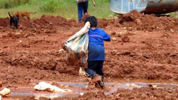 Trabalho infantil cresceu no governo Bolsonaro, diz pesquisa do IBGE
