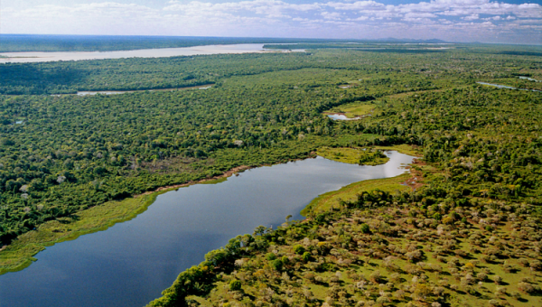 Vaqueiro morre após ser baleado em terra indígena na ilha do Bananal