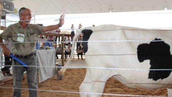 Veterinário do Tocantins é o primeiro brasileiro a receber prêmio internacional de fertilização in vitro