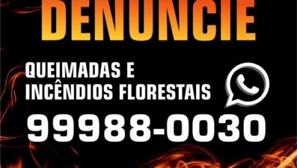 Denúncias de queimadas podem ser enviadas por meio do WhatsApp Ambiental no Tocantins