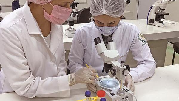 Desenvolvimento científico é uma realidade no Tocantins