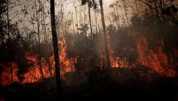 Desmatamento na Amazônia em junho é o maior em 5 anos