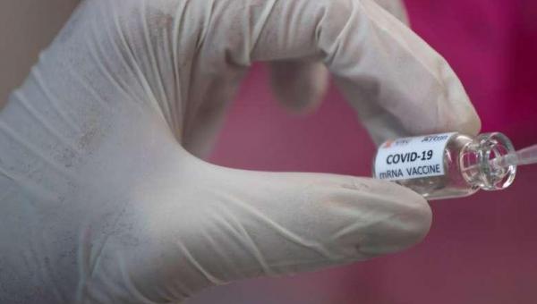 Estudo confirma eficácia de vacina contra a Covid na fase 2 dos testes clínicos