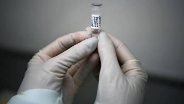 Farmacêutica diz ter encontrado anticorpo que protege 100% do coronavírus