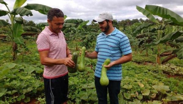 Governo inicia Programa de Aquisição de Alimentos e disponibiliza R$ 3 milhões para a compra de produtos da agricultura familiar