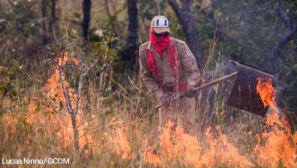 Governo suspende a prática de queimadas em todo o país por 60 dias