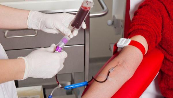Marcus Marcelo sugere doação de sangue como alternativa para transação penal