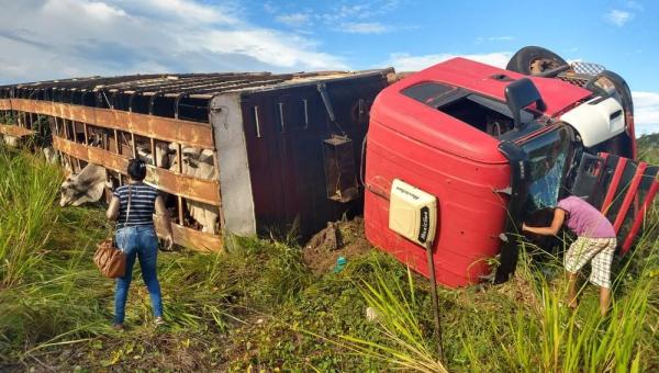 Motorista fica ferido após carreta com mais de 50 animais tombar na BR-153