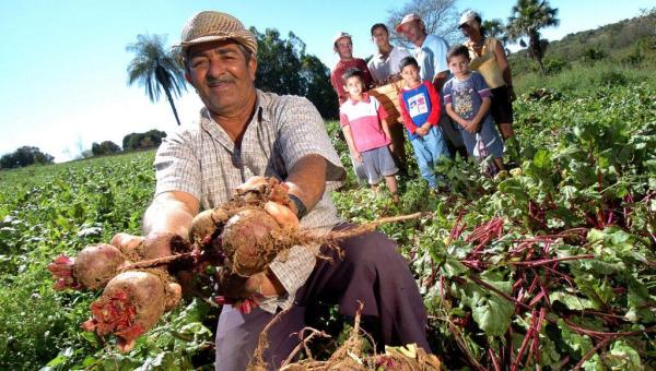 MP libera R$ 500 milhões para aquisição de alimentos, CNM sugeriu a medida