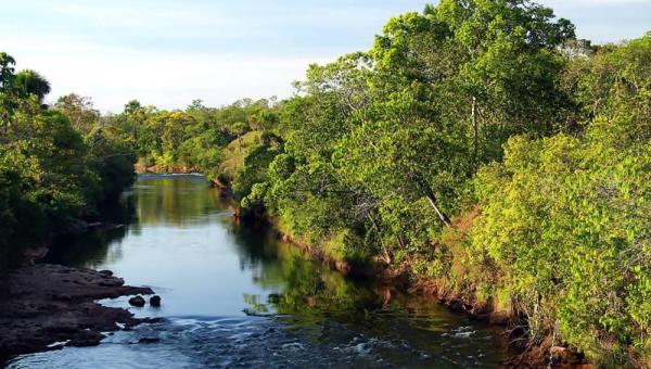 MPE apura desmatamento de 572 hectares de áreas protegidas na Bacia do Araguaia após indicativos de plataforma nacional