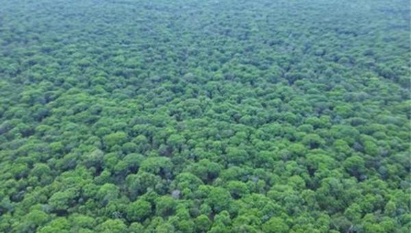 MPF pede que parte da Ilha do Bananal seja interditada após indígenas que vivem isolados serem avistados