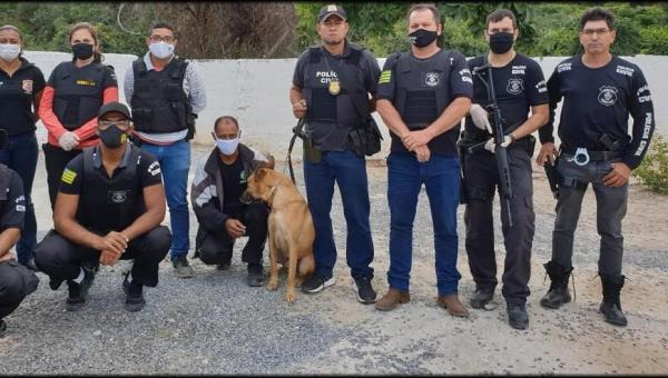 Polícia encontra drogas enterradas em quintal da casa de suspeitos de matar homem em Goiás