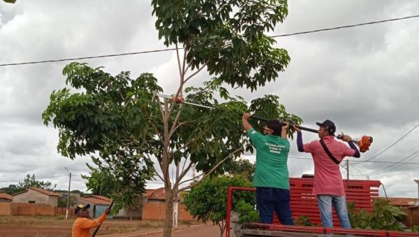 Prefeitura de Angico realiza serviços de poda de arvores no município com equipamentos novos