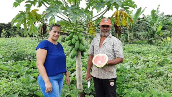 Produtor transforma pequena área em farta produção de alimentos com assistência técnica do Ruraltins