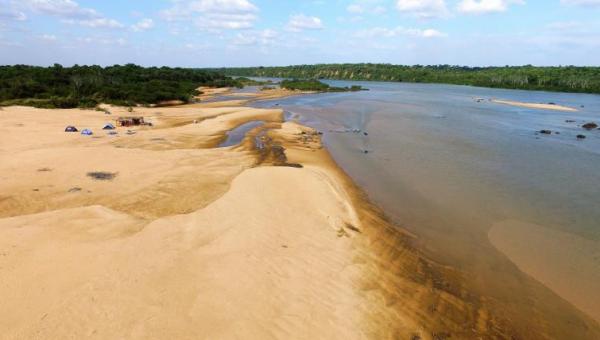 Saiba como evitar ataques de arraias e piranhas nas praias do Tocantins; veterinária dá dicas