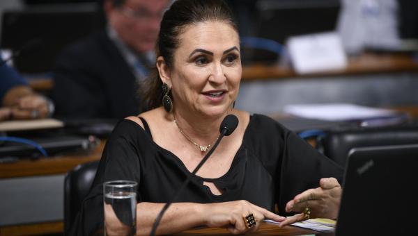 Senadora Kátia Abreu defende estabilidade como ‘garantia de um serviço público eficiente’