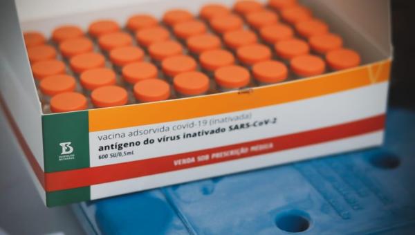 STF decide que estados e municípios podem comprar vacinas contra Covid-19