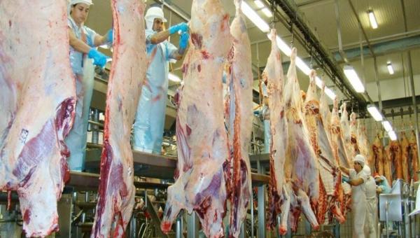 TOCANTINS: Exportações de carne bovina crescem mais de 40% 