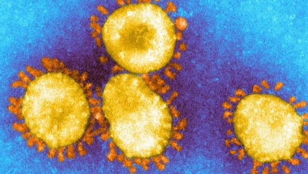 Variante do coronavírus: por que o Japão descobriu antes do Brasil a linhagem do vírus vinda de Manaus