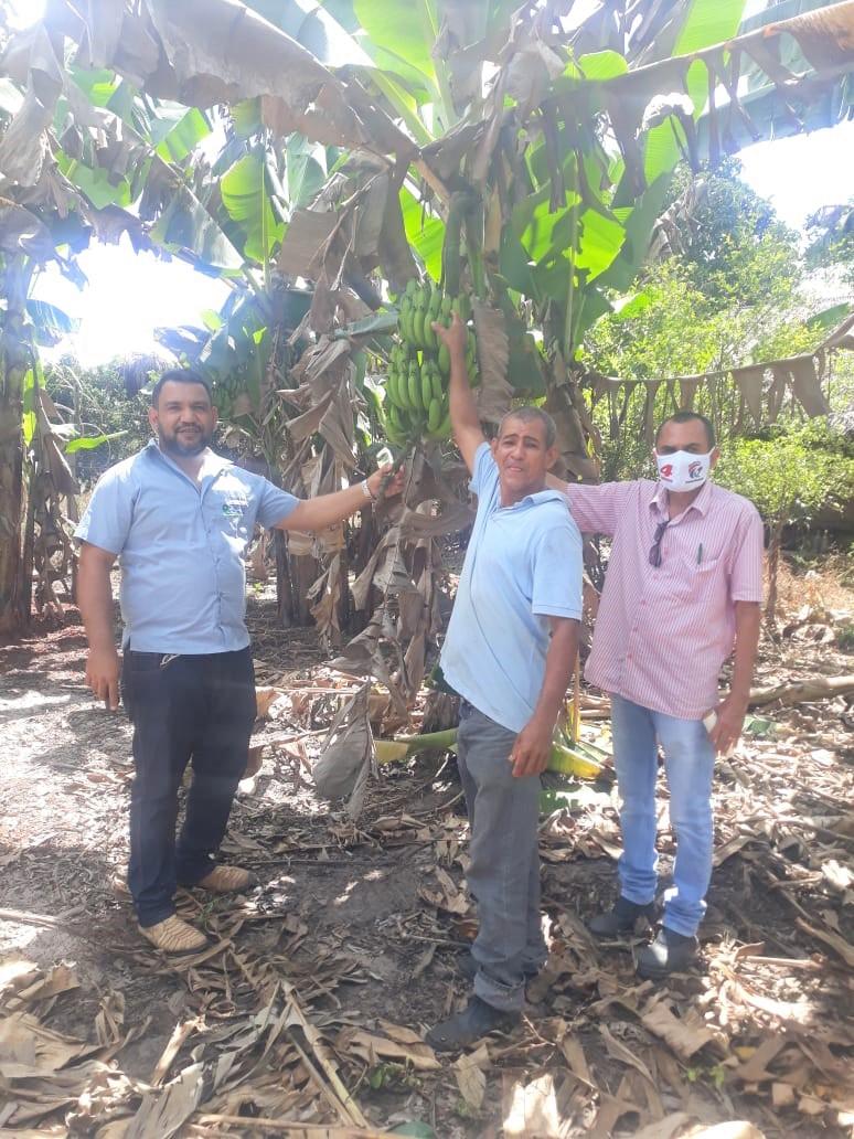 Prefeitura de Ananás continua execução de plano agrícola em parceria com Ruraltins