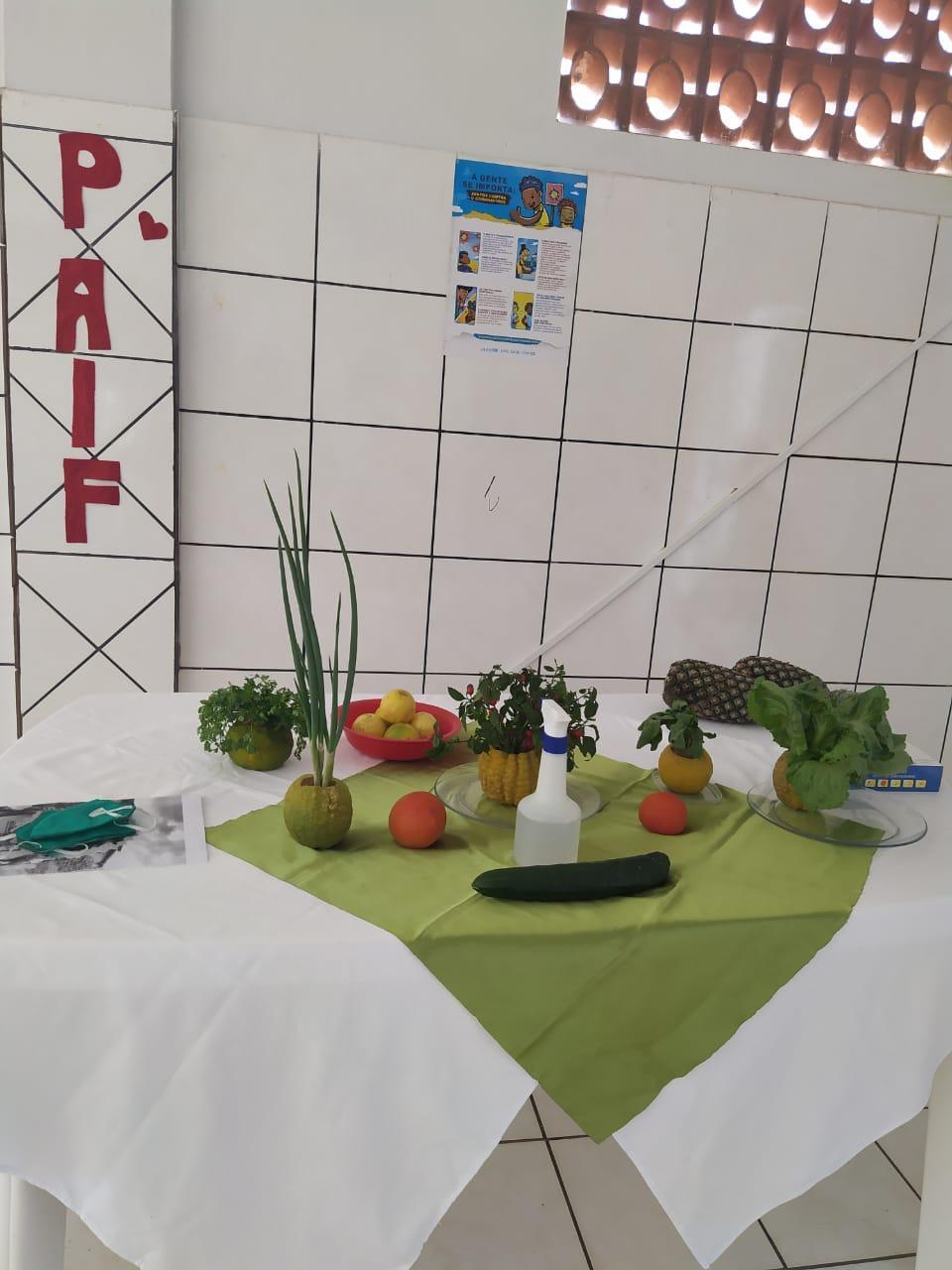 Secretaria de Assistência Social lança Projeto Horta Comunitária no Quintal em Arapoema