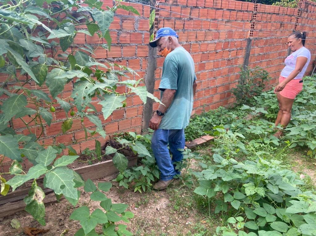Secretaria de Assistência Social lança Projeto Horta Comunitária no Quintal em Arapoema