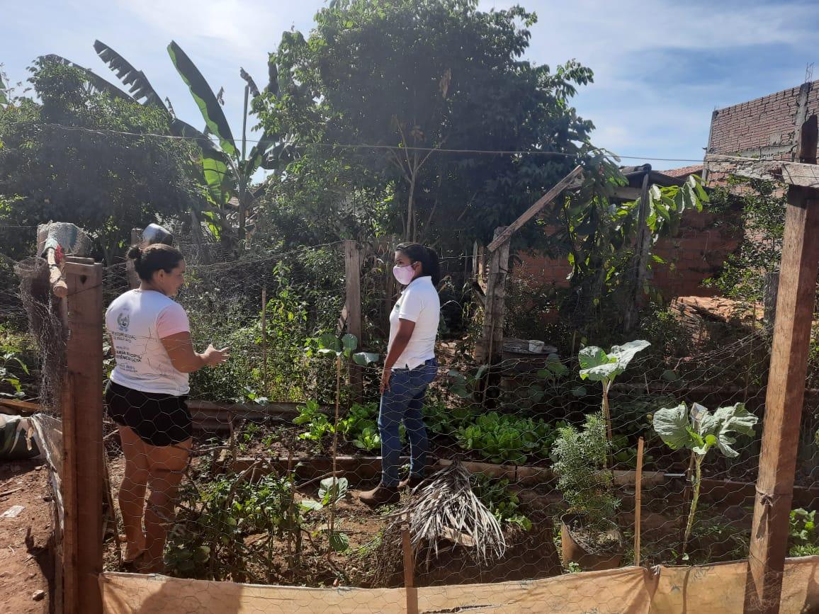 Secretaria de Assistência Social lança Projeto Horta Comunitária no Quintal em Arapoema