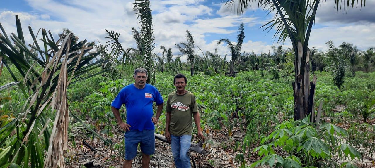 Plano Agrícola 2021 segue em execução pela Prefeitura Municipal de Ananás 
